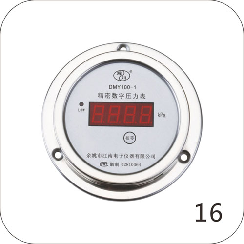 DMY100-1精密数字压力表（轴向）