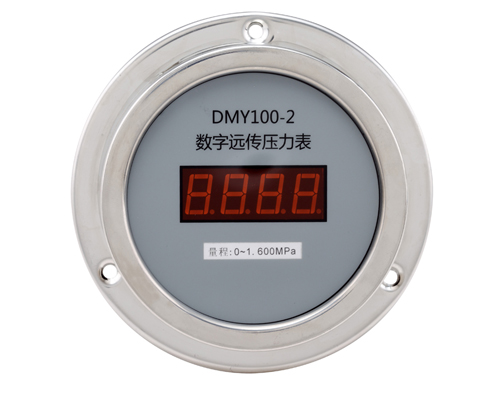 DMY100-2数字远传压力表（轴向）